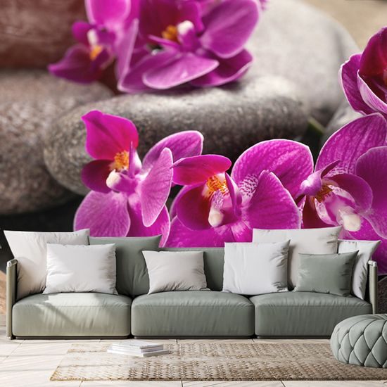 Samolepiaca fototapeta zen kamene s krásnymi kvetmi orchidey