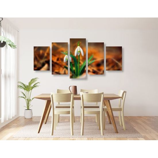 5-dielny obraz prvé snežienky