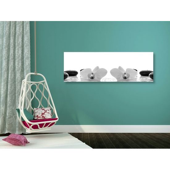 Obraz kvety orchidey a zen kamene v čiernobielom prevedení