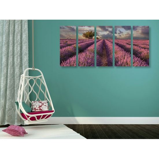 5-dielny obraz pole plné levandule