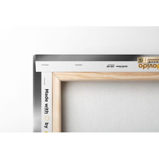 Obraz polárna žiara v čiernobielom prevedení