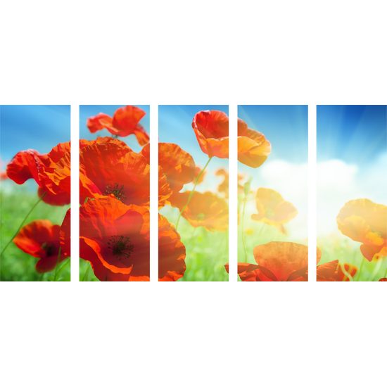 5-dielny obraz červené maky