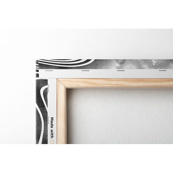 Obraz abstrakcia prírody v čiernobielom prevedení