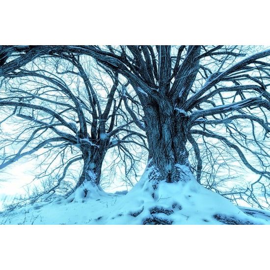 Obraz zimná krajinka