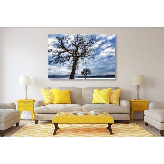 Obraz krajina zapadnutá snehom