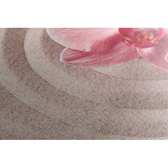 Obraz ružová orchidea v Zen zátiší