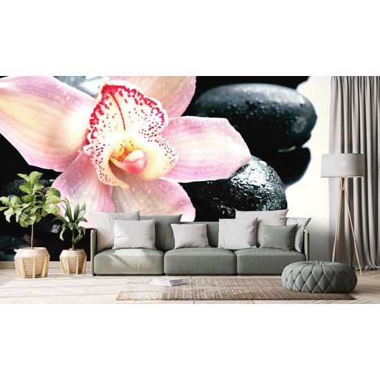 Fototapeta detail tropickej orchidey