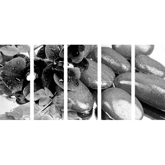 5-dielny obraz wellness zátišie a kvet orchidey v čiernobielom prevedení