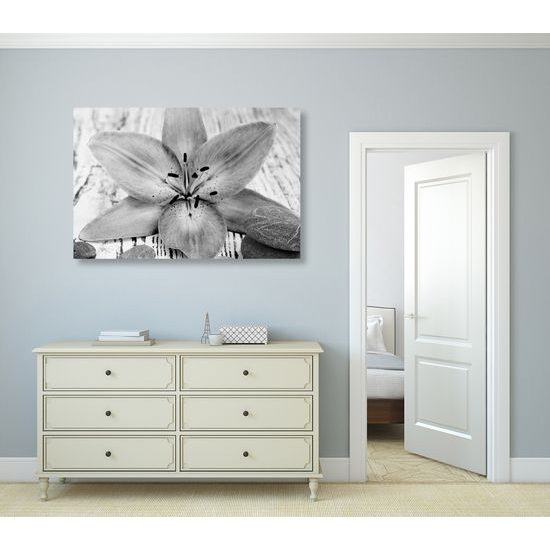 Obraz ružový kvet na drevenom podklade v čiernobielom prevedení