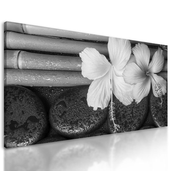 Obraz bambus a zen kamene v čiernobielom prevedení