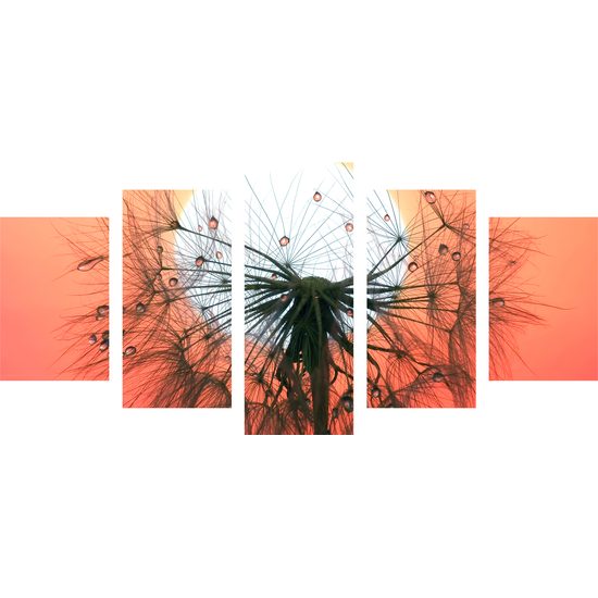 5-dielny obraz kvapky vody na púpave