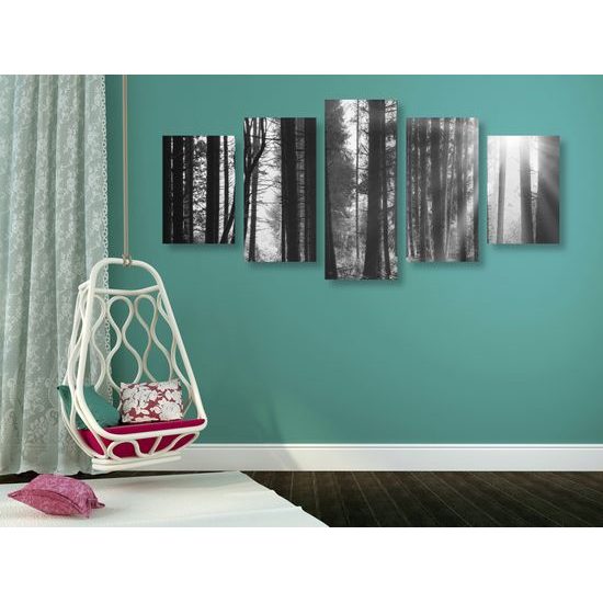 5-dielny obraz slnko predierajúce sa medzi korunami stromov v čiernobielom prevedení