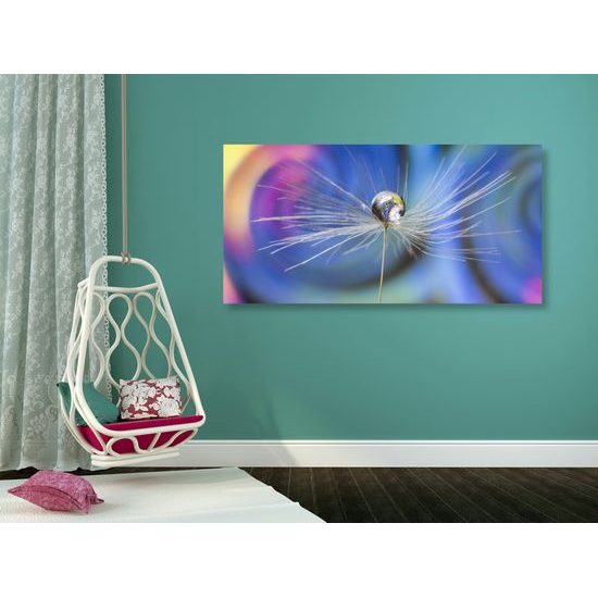 Obraz kvapka s zaujímavým pozadím