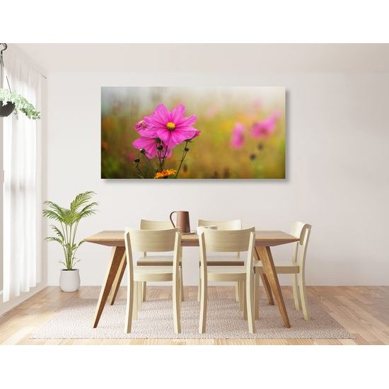 Obraz kvitnúce lúčne kvety