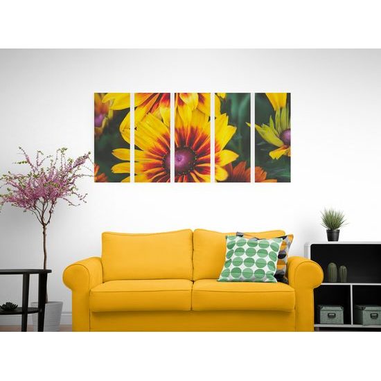 5-dielny obraz pestrofarebný kvet rudbekie