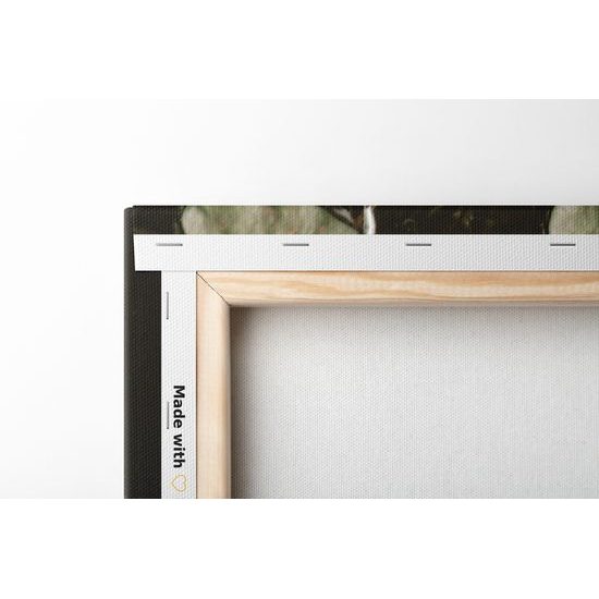 Obraz lekná v záhradnom jazierku