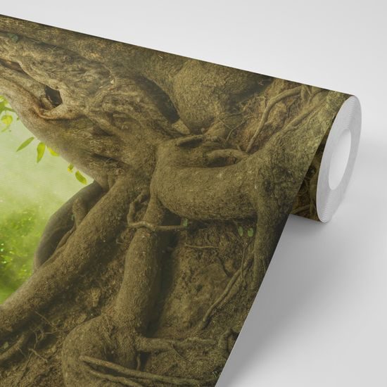 Samolepiaca tapeta mohutné korene stromu