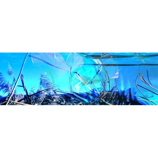 Obraz podmorský svet