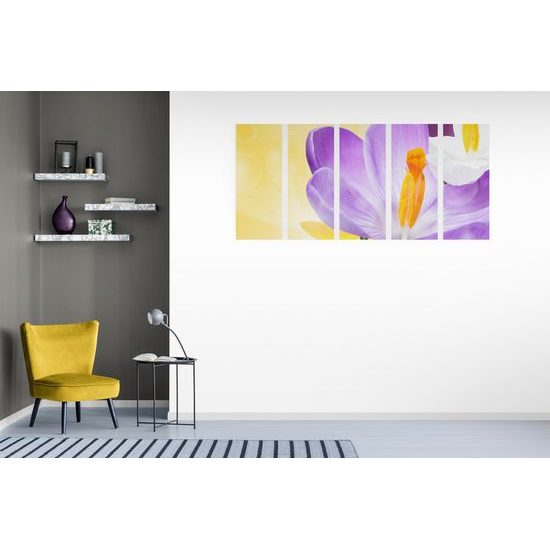 5-dielny obraz nežný šafrán