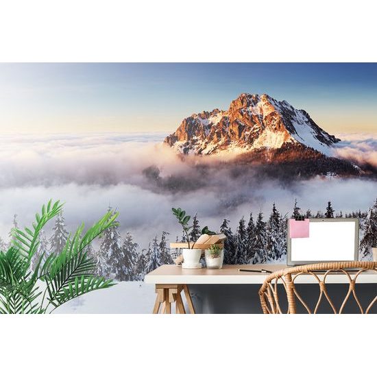 Samolepiaca fototapeta zimné Krkonoše v objatí hmly