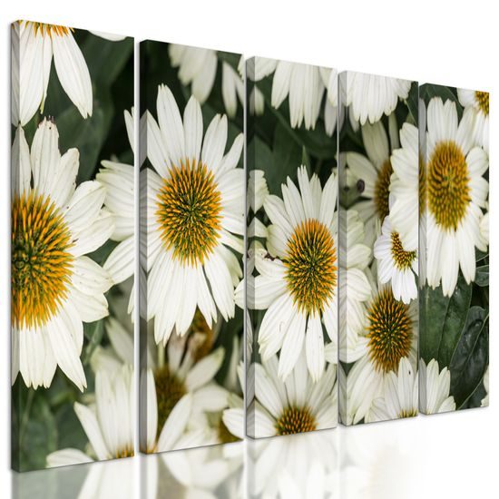 5-dielny obraz uzdravujúci harmanček