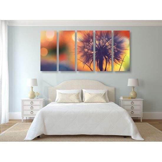 5-dielny obraz púpava pri západe slnka