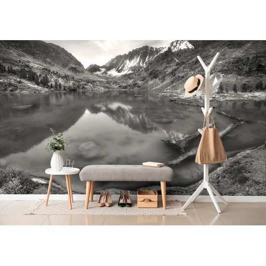 Originálna fototapeta čiernobiele jazero uprostred hôr