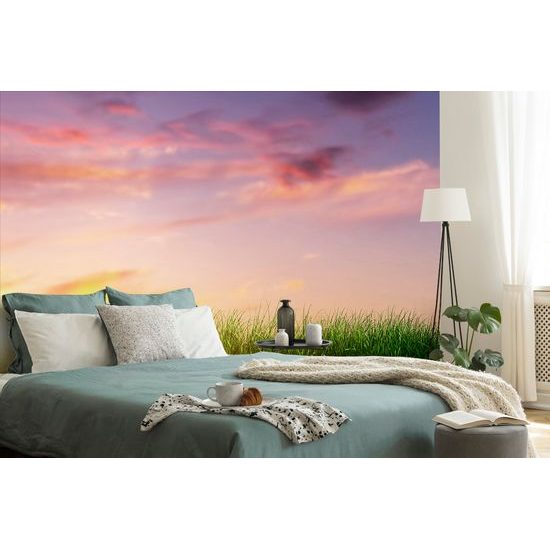 Samolepiaca tapeta lúče slnka nad lúkou