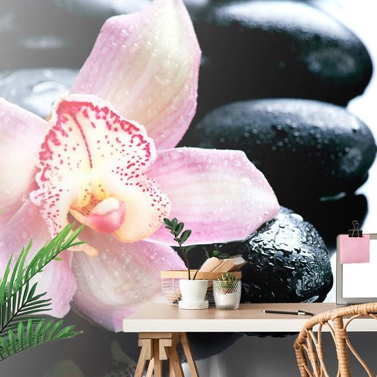 Fototapeta detail tropickej orchidey