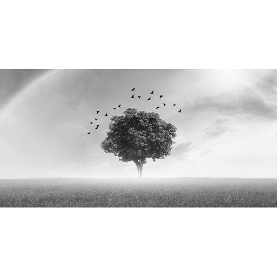 Obraz strom pod dúhou v čiernobielom prevedení