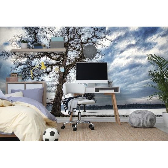 Samolepiaca fototapeta strom so snehovým popraškom