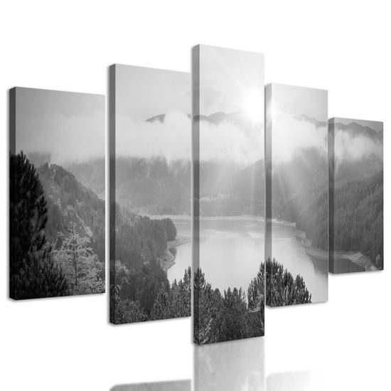 5-dielny obraz prekrásny pohľad na letnú prírodu v čiernobielom prevedení