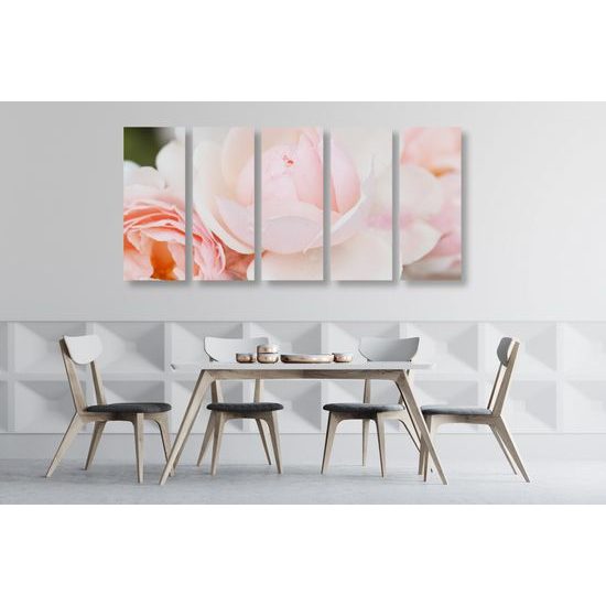 5-dielny obraz pôvabné ruže