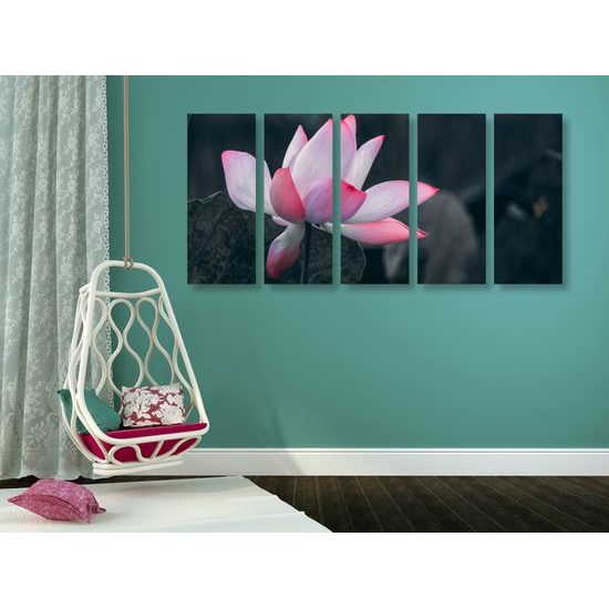 5-dielny obraz nádherny kvet