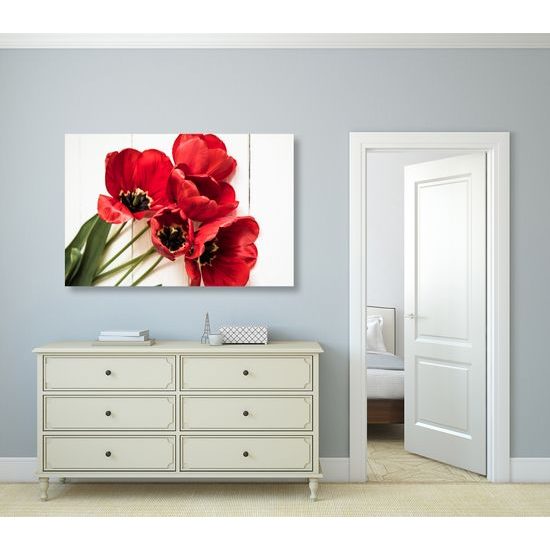 Obraz nádherné tulipány