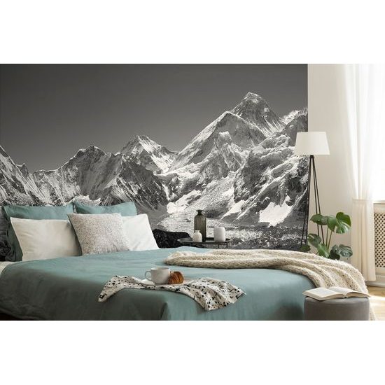 Samolepiaca fototapeta čiernobiely letný pohľad na ľadovec