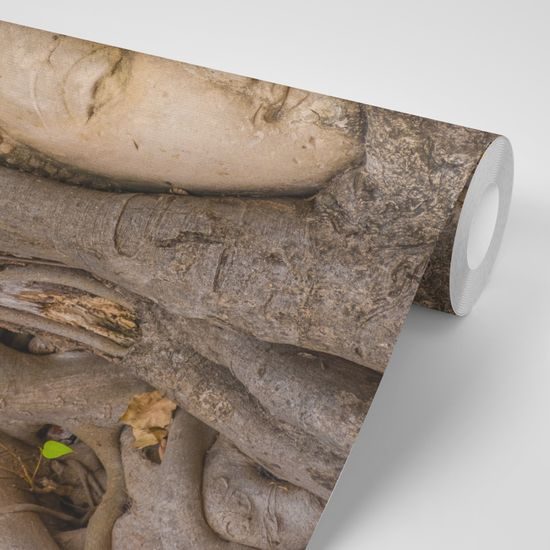 Samolepiaca fototapeta Budha v koreňoch figovníka