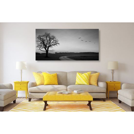 Obraz okúzľujúci západ slnka v čiernobielom prevedení