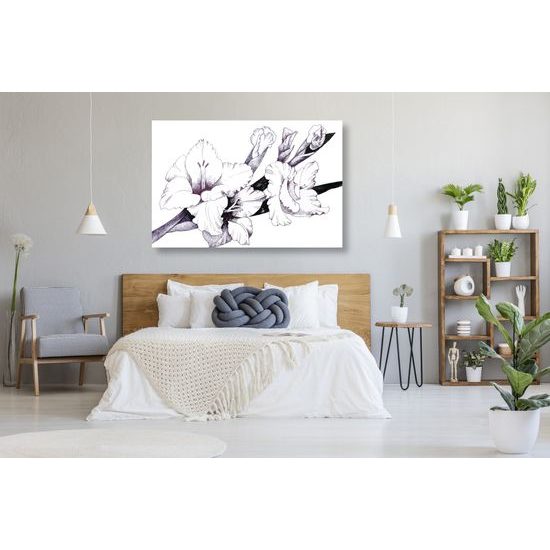 Obraz minimalistická gladiola