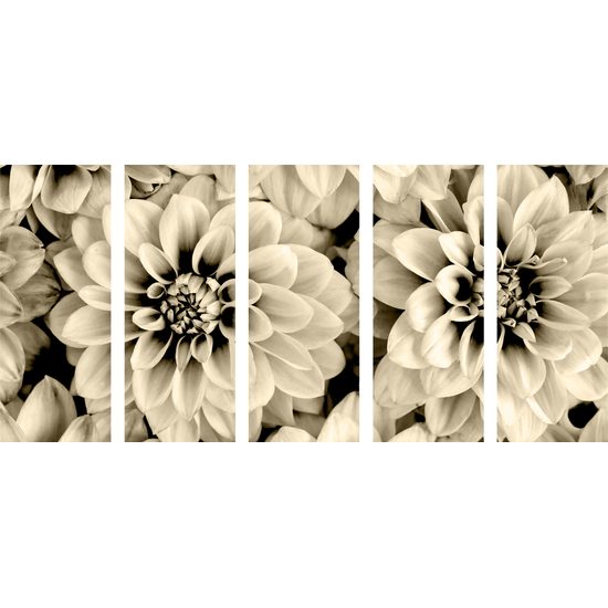 5-dielny obraz jemné rozkvitnuté dálie v sépiovom prevedení