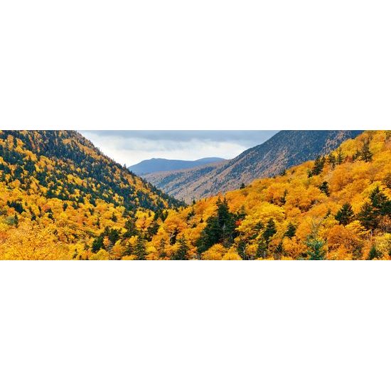 Obraz pohľad na jarnú krajinu