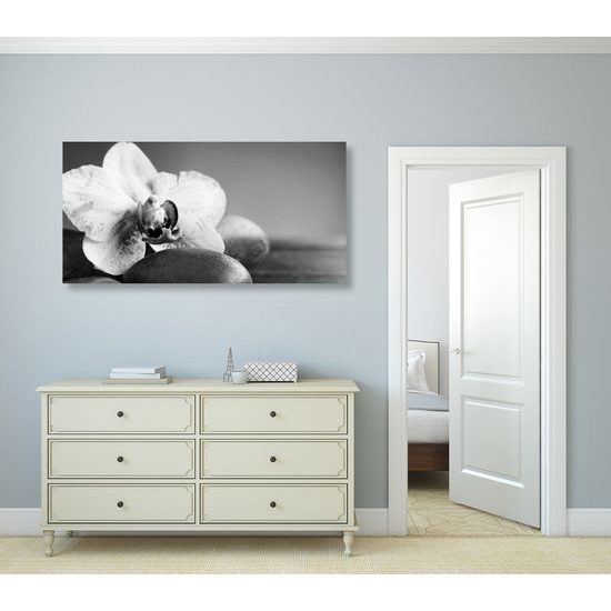Obraz zaujímavo sfarbená orchidea v čiernobielom prevedení