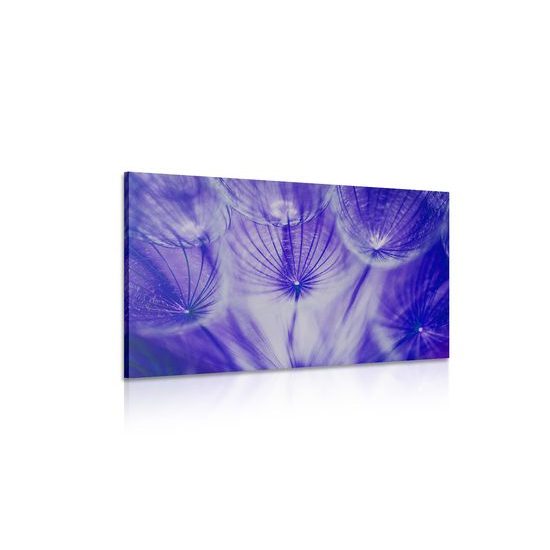 Obraz abstraktná púpava v fialovom prevedení