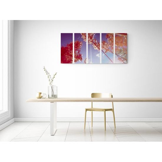 5-dielny obraz steblá trávy v lúčoch slnka