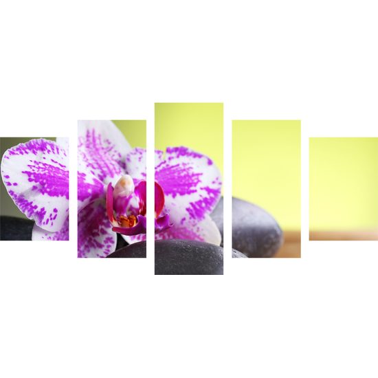 5-dielny obraz zaujímavo sfarbená orchidea a Zen kamene