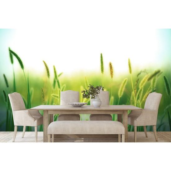 Samolepiaca tapeta steblá trávy s nádychom zelenej