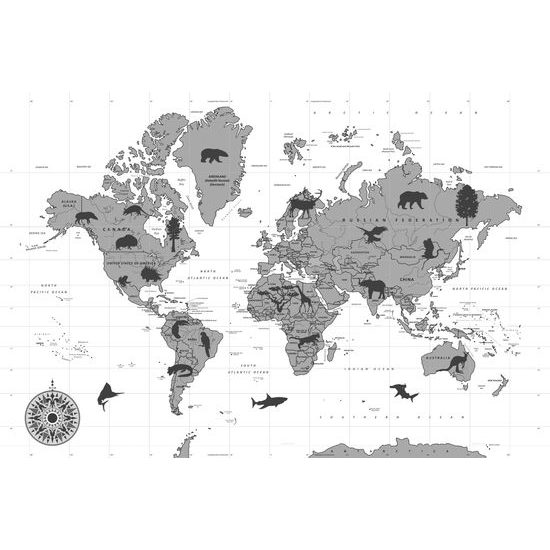 Obraz mapa sveta so symbolickými zvieratami v čiernobielom prevedení