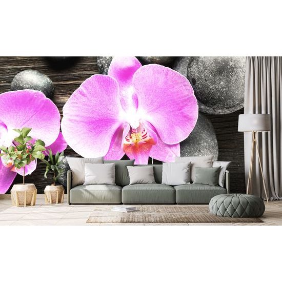 Samolepiaca fototapeta orchidea na zen kameňoch