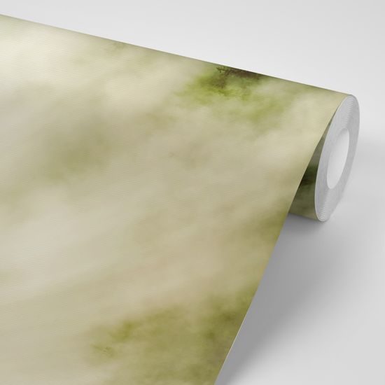 Samolepiaca fototapeta les zahalený do hmly