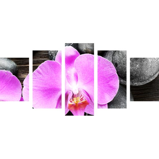 5-dielny obraz orchidea a Zen kamene na drevenom pozadí